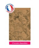 Pochette cadeau motif carte du monde dès 36.50€
