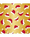 Papier cadeau ROULEAU 0.70x100m couché une face 60gr