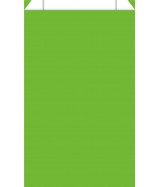 Pochette cadeau vert pomme dès 11.99€