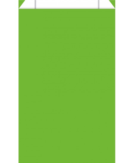 Pochette cadeau vert pomme dès 11.99€